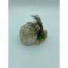 Borie ronde GM + mur de Gordes GM + thym - Décor pour crèche provençale - LADV