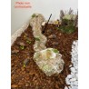 Morceau de rivière 1 - Décor pour crèche de Provence