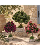 Arbres – Apportez un décor naturel et réaliste à votre crèche - LADV